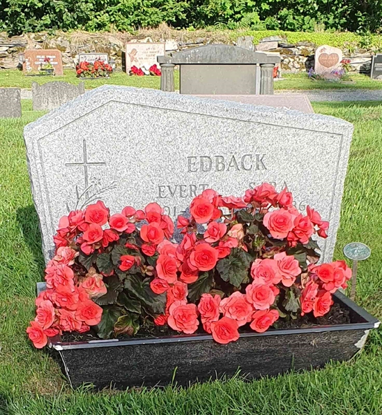 Grave number: 1 C   130