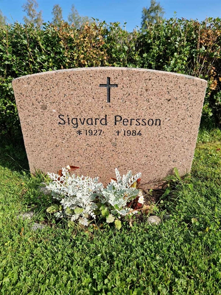 Grave number: 1 16     6