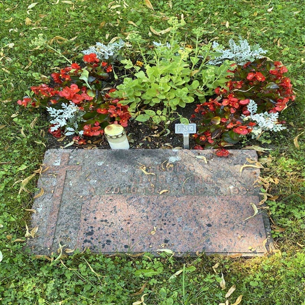 Hautatunnus: 1 F    34
