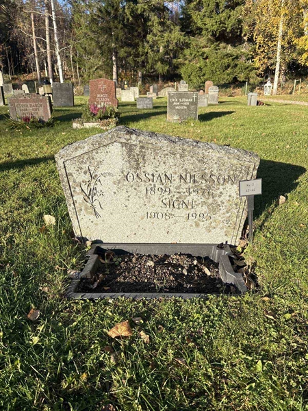 Hautatunnus: R 2    43-44