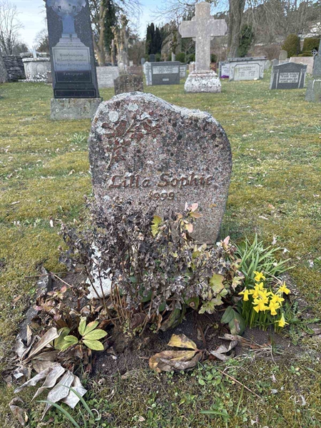 Gravnummer: LI   181