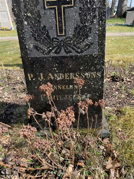Grave number: 1 GK  196