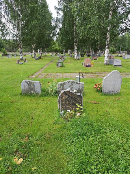 Hautatunnus: NK 17    22