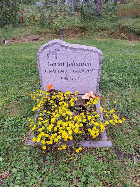 Grave number: 2 Q  2729
