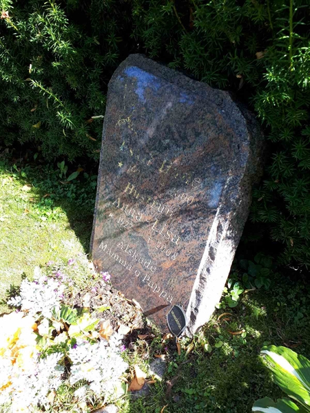 Hautatunnus: GK U 4   253