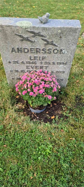 Grave number: M 16  116