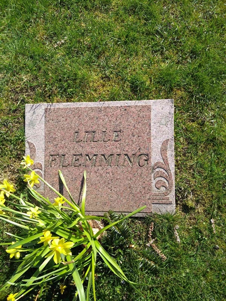 Grave number: TN 009  2331