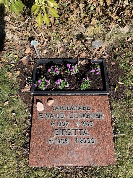 Grave number: SÖ K    12