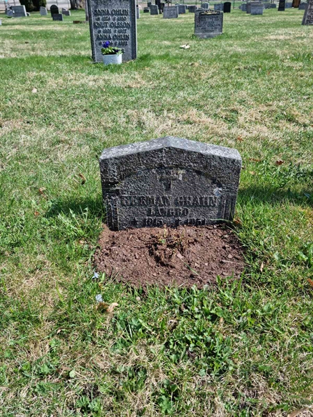 Grave number: D G 3   489a