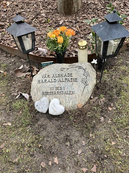 Grave number: R 06    67