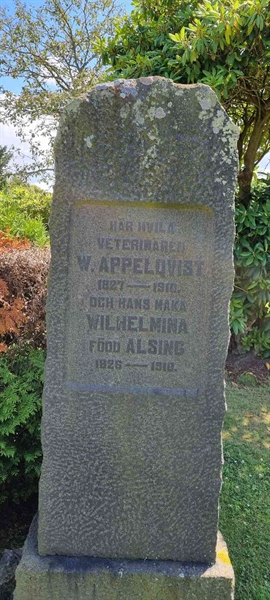 Grave number: LM 1 05  012