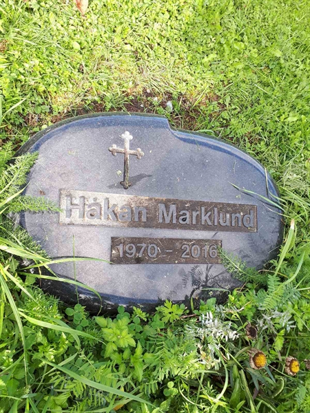 Hautatunnus: NK F D   403