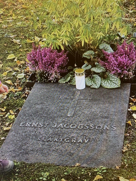 Hautatunnus: 1 E    31