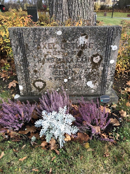 Grave number: TUR   553-554