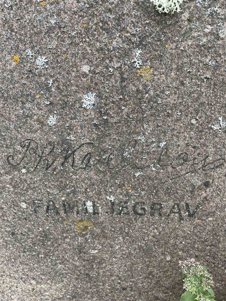 Gravnummer: GK F 3   184