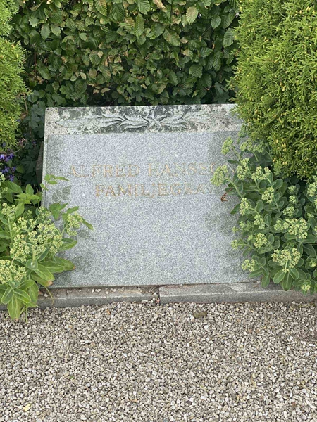 Grave number: VN Å     9