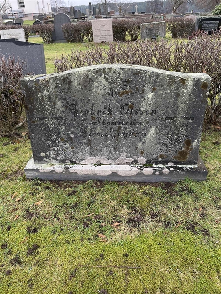 Hautatunnus: Vårv Kv4 217-220