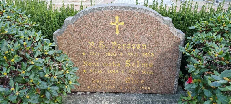 Grave number: LM 2 18  027