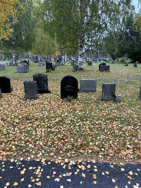 Hautatunnus: NK 17    72