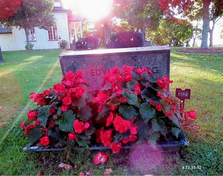 Grave number: 4 11    51-52