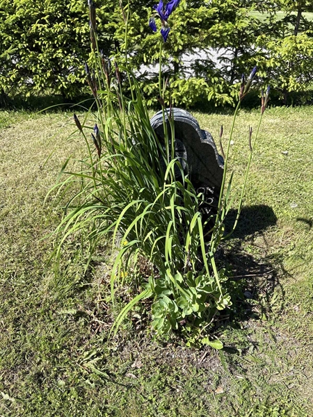Hautatunnus: 4 G GH   176-177