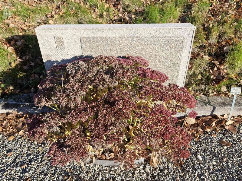 Grave number: AK C  3094-3096