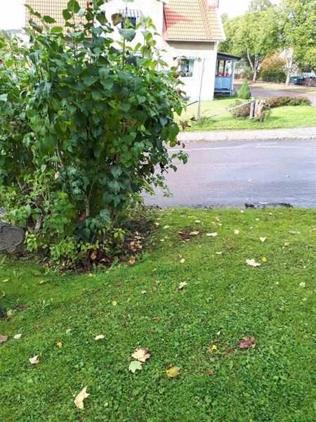 Gravnummer: GK F 1    18