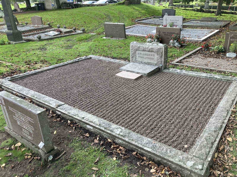 Hautatunnus: BRO 1   224