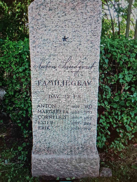 Gravnummer: Ut     5