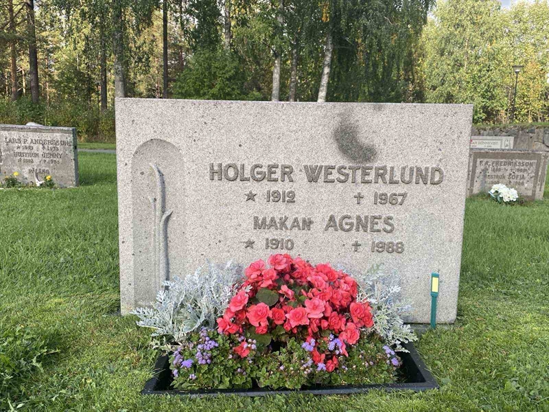 Gravnummer: 3 07    32