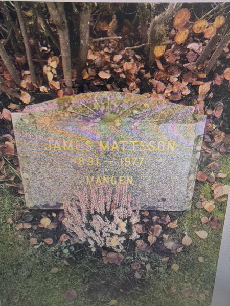 Grave number: 3 01 08     9A