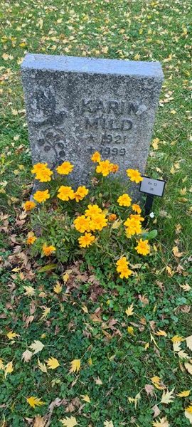 Grave number: M 12   38