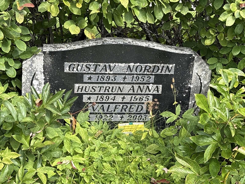 Hautatunnus: SÄ GA  1509