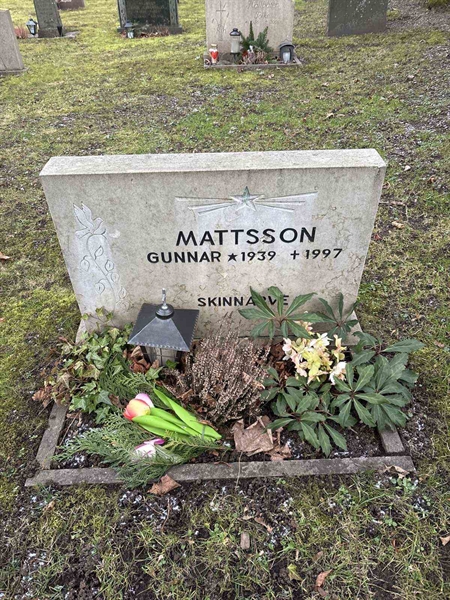 Gravnummer: LE   296