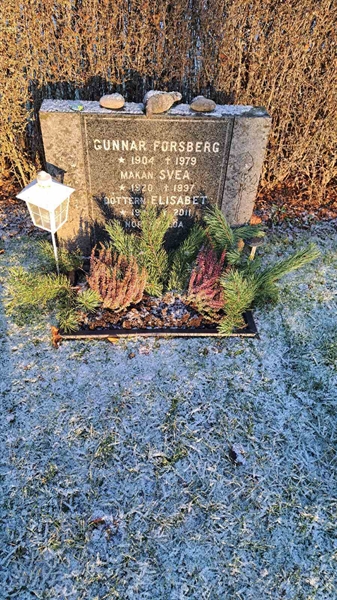 Gravnummer: 6 05    218, 219, 220