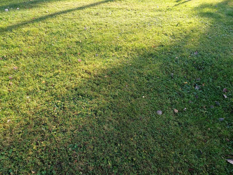 Grave number: JÄ 1 B 3193, 3194, 3195