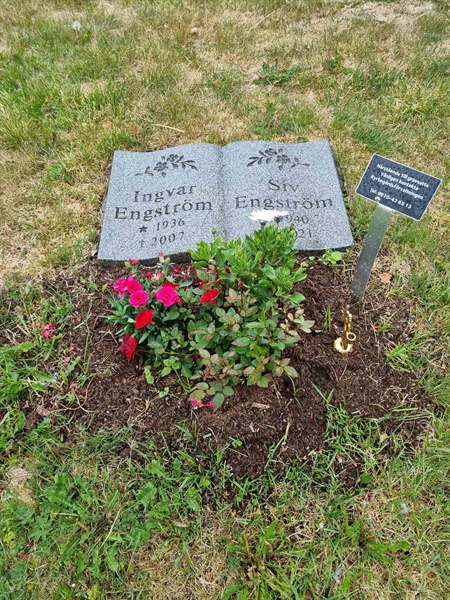 Grave number: 2 12   36