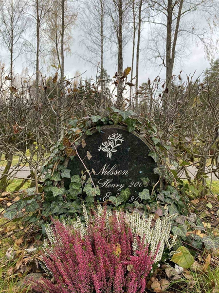 Grave number: 1 29     36