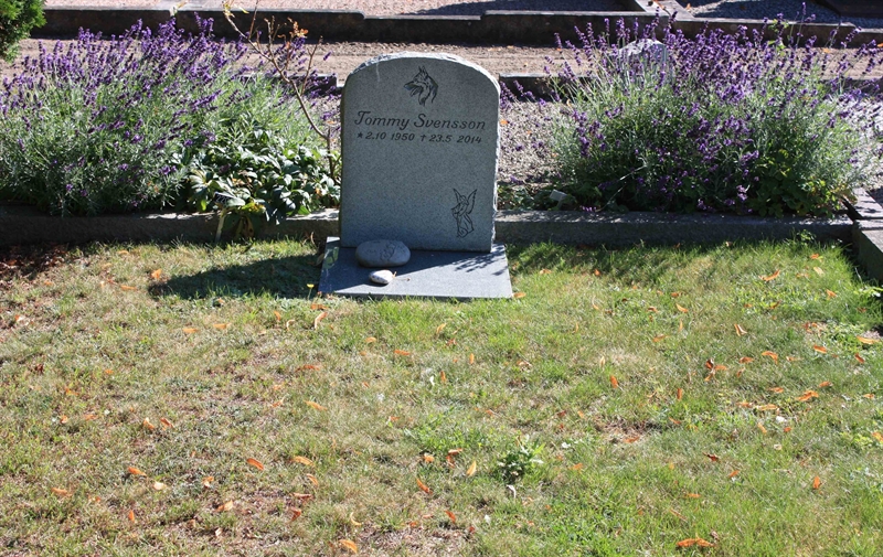 Grave number: Ö 22i   100, 101