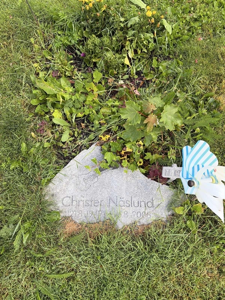 Gravnummer: 1 T   199
