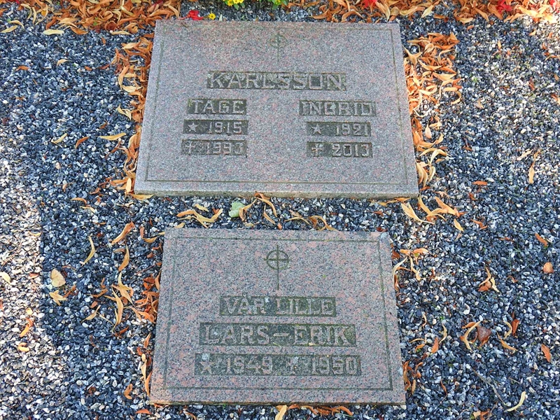 Gravnummer: BRO 2   141