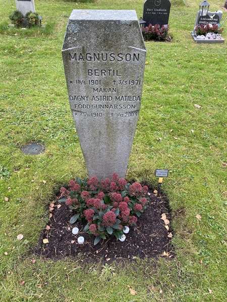 Hautatunnus: 2 C  1008-1009