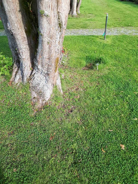 Gravnummer: NK A A   178