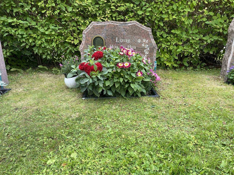 Grave number: 3 19 908