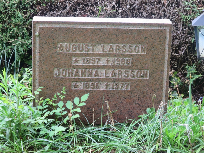 Grave number: HÖB 71    25