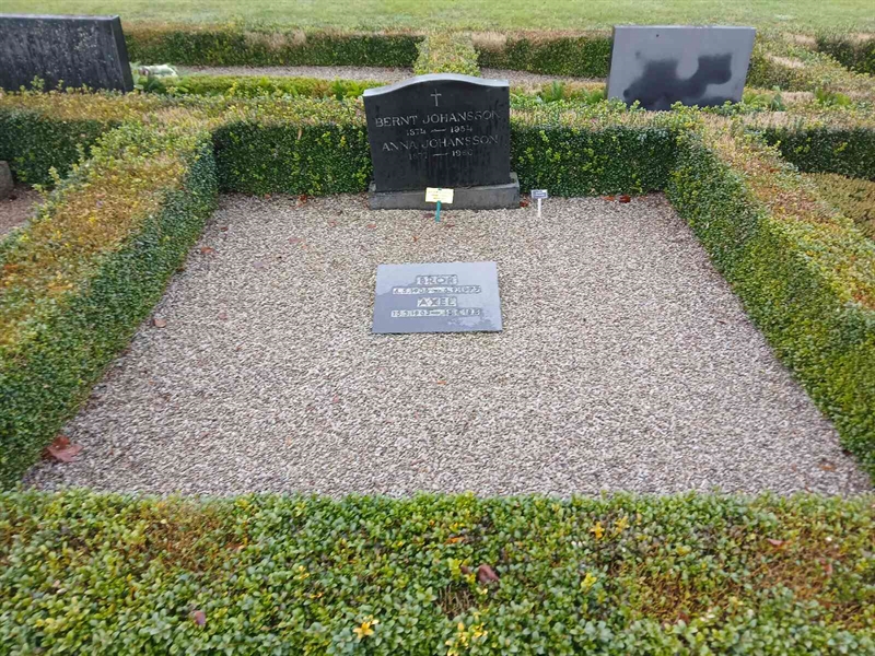 Hautatunnus: Si I    45, 46