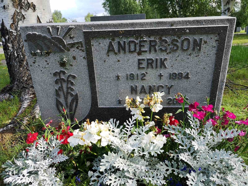 Hautatunnus: NK 18    24