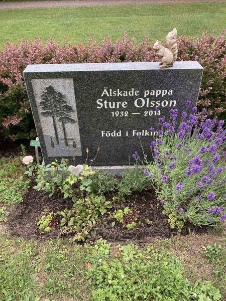 Grave number: Kärn ny C   141