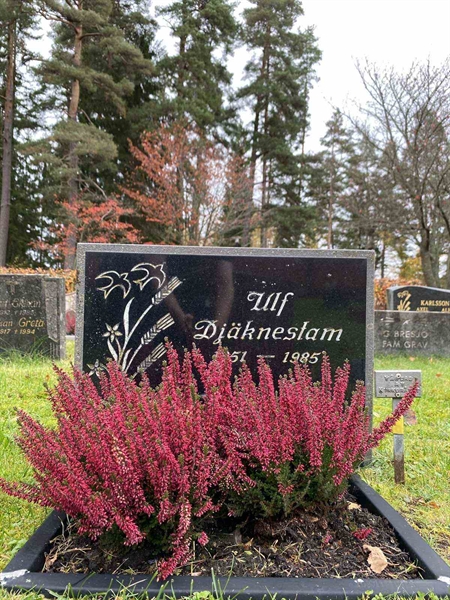 Grave number: 1 24    204