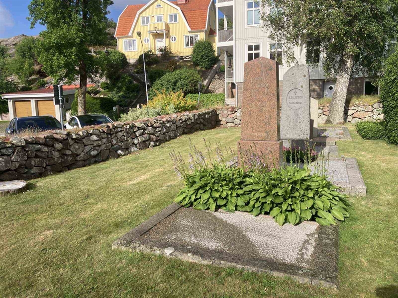 Hautatunnus: 1    65-66